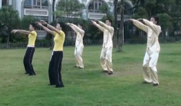 老年人健身操视频,跟随健身操视频，轻松享受健康生活